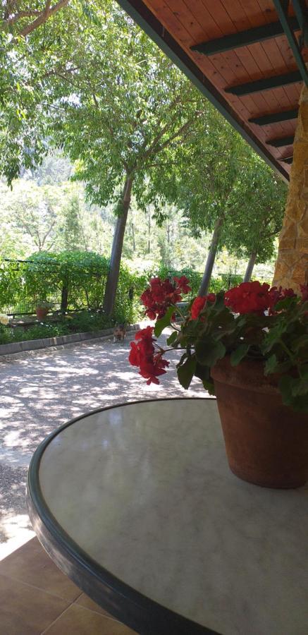 Affittacamere Cortijo El Cercadillo Bedmar y Garciez Esterno foto